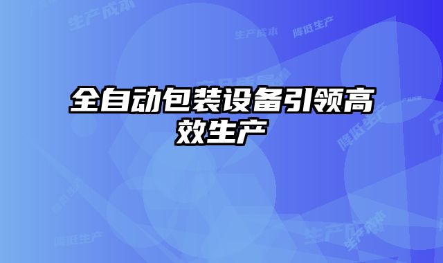 全自動(dòng)包裝設(shè)備引領(lǐng)高效生產(chǎn)