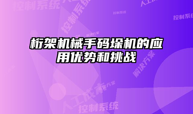 桁架機(jī)械手碼垛機(jī)的應(yīng)用優(yōu)勢(shì)和挑戰(zhàn)