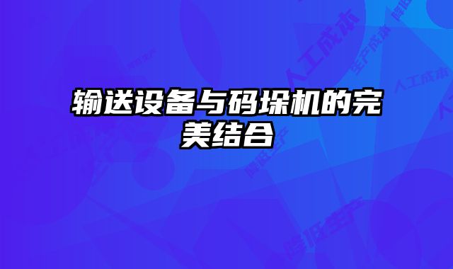 輸送設(shè)備與碼垛機的完美結(jié)合