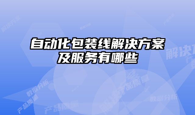 自動(dòng)化包裝線解決方案及服務(wù)有哪些