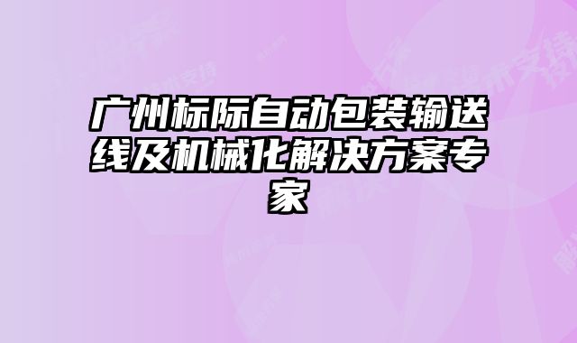 廣州標(biāo)際自動(dòng)包裝輸送線及機(jī)械化解決方案專家