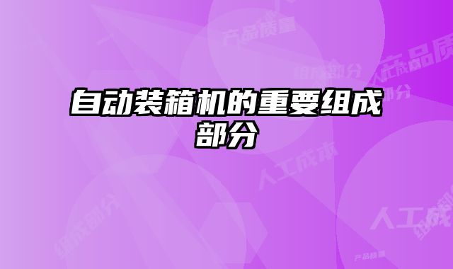 自動(dòng)裝箱機(jī)的重要組成部分
