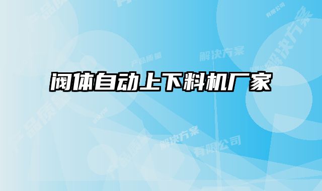 閥體自動(dòng)上下料機(jī)廠家
